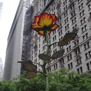 Meet your Posher, Annie